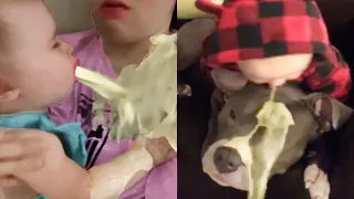 What will parents feel when they see the angels...🤮🤮🤮#45 - Funny Baby and Kids - Funny Pets Moments