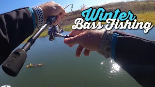 Bass Fishing in WINTER with SMALL Swimbaits in South Africa , Albert Falls. A Few Surprises !!!