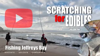 Scratching for Edibles in Jeffreys Bay | Monster Zebra& Blacktail | ASFN Rock & Surf