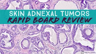 Skin Adnexal Tumors: Dermpath Board Review for Dermatology Pathology & Dermpath