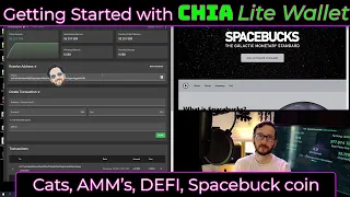 Chia Lite Wallet brings Chia Asset Tokens [CATS] to Life AMM DEX DEFI now possible