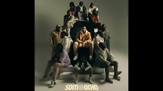 Sdm appelez les pim-pom ( album ocho )