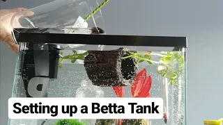 Putting together a Betta Tank  - PetSmart Haul