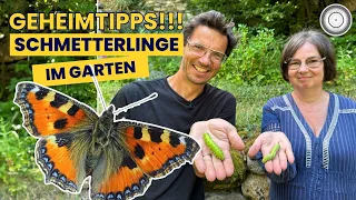 GEHEIMTIPPS - So holst du dir außergewöhnliche Schmetterlinge in DEINEN Garten! 🦋