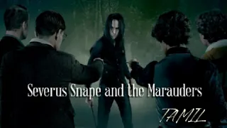 Harry Potter |Severus Snape and the marauders | Tamil dubbing |