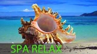 6 Hour Relaxing Spa Music, Calming Music, Background Music, Sleep Music, Spa, Massage Music, ☯357