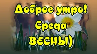 Доброе Утро😁Первая ВЕСЕННЯЯ СРЕДА 🥰Прекрасного, Удачного  Дня🎶Очень красивая музыкальная ОТКРЫТКА