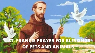 ST. FRANCIS OF ASSISI PRAYERS FOR BLESSING OF PETS AND ANIMALS