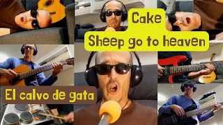 "Sheep go to heaven", CAKE cover por El calvo de gata. One man band