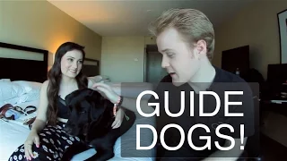 Life With a Guide Dog (ft. Molly Burke & Gallop)