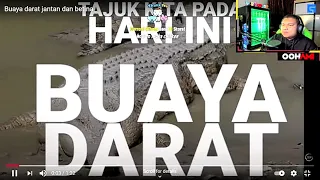 [Oohami React] Buaya Darat - Team Bangkit Malaysia (TBM) [Clip 22/01/2021]