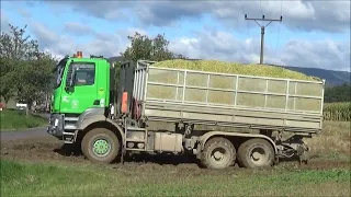 siláže 2022  Tatra Phoenix,John Deere 8230 7820 7810 8400R