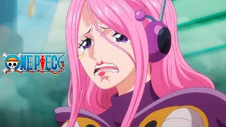 Bonney, ¡YO SOY TU PADRE! | One Piece (sub. español)