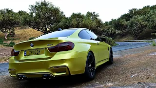 FORZA HORIZON 5 - BMW M4 COUPE | THRUSTMSTER T818