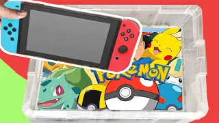 Making a custom Pokemon special Edition Nintendo Switch