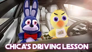 Freddy Fazbear and Friends "Chica's Driving Lesson"