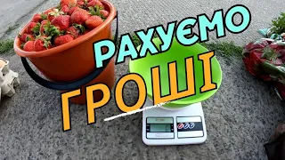 🍓Нарешті рахуємо гроші 💰💰💰