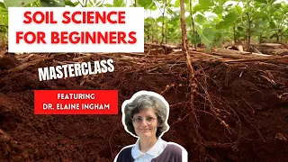 How to Build Great Soil - A Soil Science Masterclass with Dr. Elaine Ingham (Part 2 of 4)