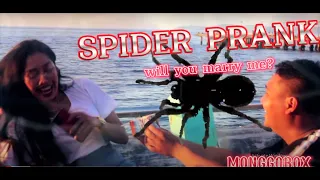 WILL YOU MARRY ME? | PRANGKING GIRLS (SPIDER PRANK)