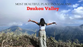 Dzukou Valley Trek and Night Camping | Exploring Nagaland | EP 2