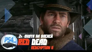 Red Dead Redemption 2 - Первая охота в горах. Свежеватель туш.