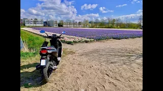 Peugeot Speedfight 4 50cc on tour in Holland - Gopro timewrap Hero 7 4K