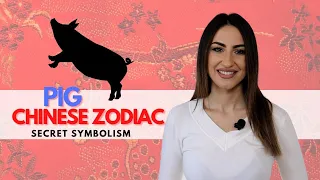 PIG Chinese Zodiac Sign - Everything You Need To Know!