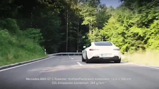 Mercedes-AMG GT Family 2019