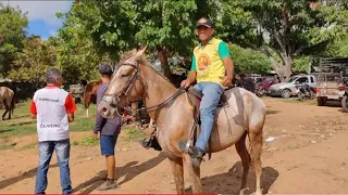 Feira de cavalos em canafístula frei Damião. Alagoas.