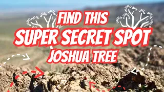 SECRET SPOT IN JOSHUA TREE! Class 3 Route, Scrambling!