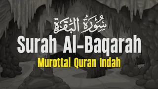 Surah Al Baqarah Dengan Suara Indah Membuat Hati Tenang