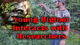 Young Bigfoot interacts with Researchers