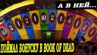 ВПЕРВЫЕ ПОЙМАЛ БОНУСКУ В BOOK OF DEAD | СТАВКИ НА DREAM CATCHER В КАЗИНО PLAY FORTUNA