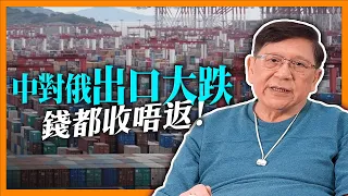 中對俄出口大跌 錢都收唔返！美國針對中俄貿易制裁 香港都中伏？《蕭若元：理論蕭析》2024-04-30