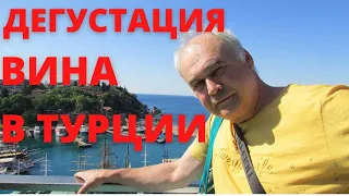 Турция сезон 2021. ч.1. Дегустация вишневого вина. А где восторг? / Русский самогонщик в Турции.