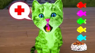 LITTLE KITTEN ADVENTURE AND GREEN CAT - CAT CARTOON VIDEO - FUNNY ADVENTURE CAT LONG SPECIAL