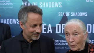 LA premiere of Sea of Shadows, documentary on saving cute vaquita whale