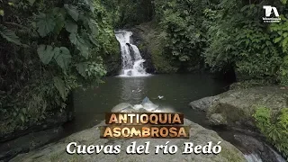 Antioquia Asombrosa, Cuevas del río Bedó - Teleantioquia