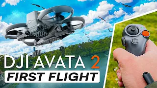 DJI Avata 2 | FIRST FLIGHT | Flock of Birds Attacked My Drone 🐦 [4K]