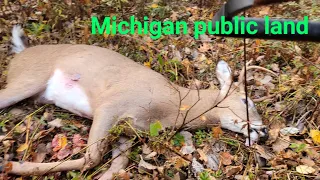 Michigan 2022 archery deer public land buck down