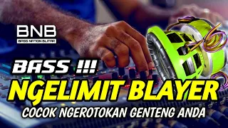 DJ CEK SOUNG BASS BLAYER LINDU 2024 NGERONTOKAN GENTANG KALIAN | BASS NATION BLITAR