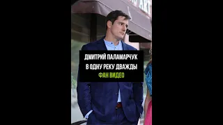 Дмитрий Паламарчук - В одну реку дважды. Фан видео.