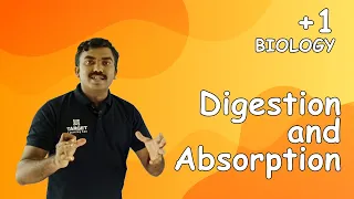 Plus One Biology | Digestion and Absorption - Introduction | Mr. Shaheer