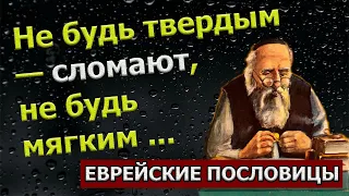 Еврейские поговорки и пословицы которые пригодятся в жизни