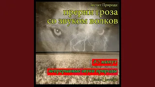 Звучит Природа: прерии гроза со звуком волков...