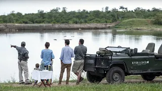 African Inspiration Journeys: The Simbavati Safari Experience