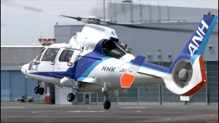 【ヘリコプター】 Eurocopter AS365/565 Dauphin 2:Panther JA65NH （オールニッポンヘリコプター） 「NHK取材用ヘリ」の離着陸 他４機・東京ヘリポー