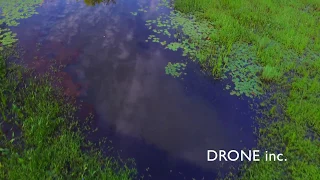 Nashua River Flats|Drone Edit