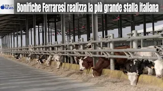 Bonifiche Ferraresi realizza la più grande stalla italiana