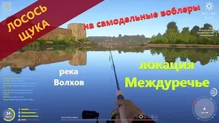 Русская рыбалка 4 - река Волхов - Щука и лосось на самодельные воблеры